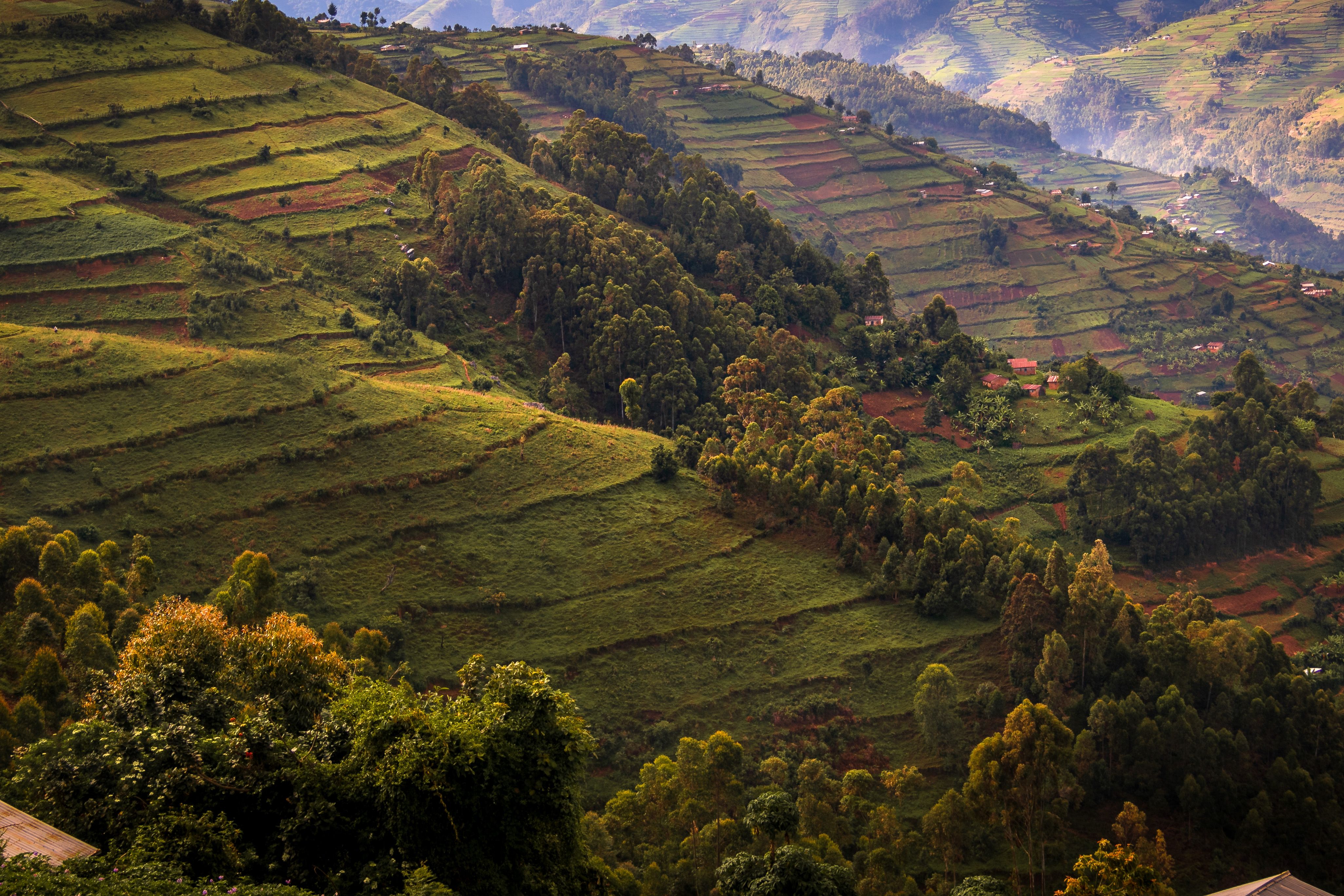 Rwanda's Beautiful Landscape - Volcanoes National Park